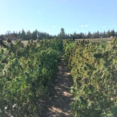 Brooker Farms, Bend, OR